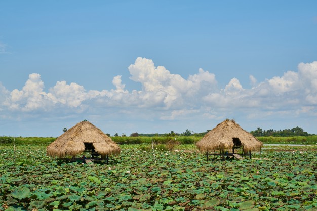 Pippa’s Cambodia Trek for Wallfield House